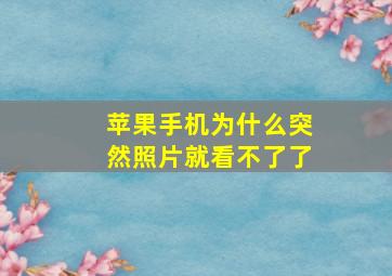 苹果手机为什么突然照片就看不了了