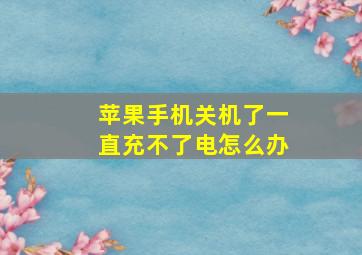 苹果手机关机了一直充不了电怎么办