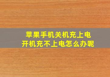 苹果手机关机充上电开机充不上电怎么办呢