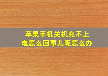 苹果手机关机充不上电怎么回事儿呢怎么办