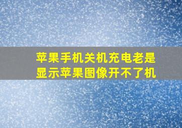 苹果手机关机充电老是显示苹果图像开不了机