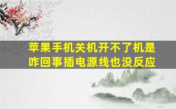 苹果手机关机开不了机是咋回事插电源线也没反应