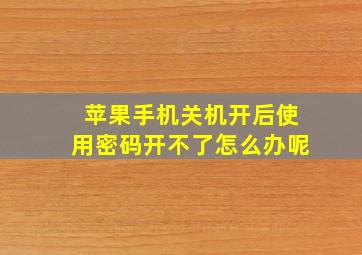 苹果手机关机开后使用密码开不了怎么办呢