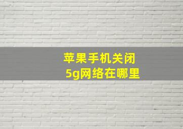 苹果手机关闭5g网络在哪里