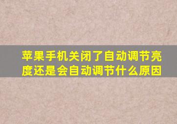 苹果手机关闭了自动调节亮度还是会自动调节什么原因