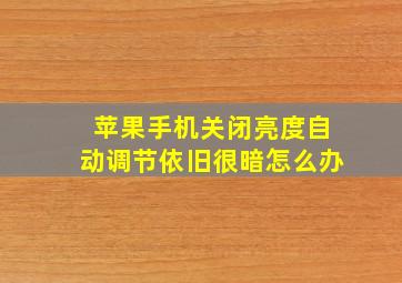 苹果手机关闭亮度自动调节依旧很暗怎么办