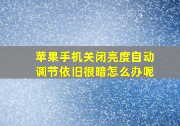 苹果手机关闭亮度自动调节依旧很暗怎么办呢