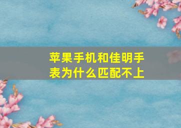 苹果手机和佳明手表为什么匹配不上