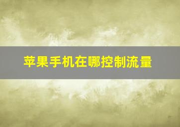 苹果手机在哪控制流量