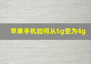 苹果手机如何从5g变为4g