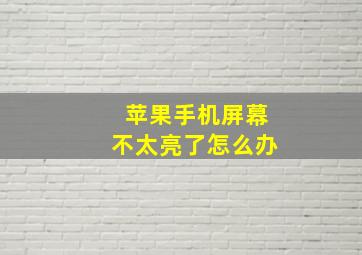 苹果手机屏幕不太亮了怎么办