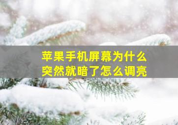 苹果手机屏幕为什么突然就暗了怎么调亮