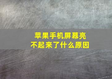 苹果手机屏幕亮不起来了什么原因