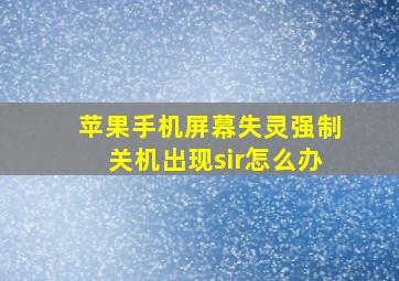 苹果手机屏幕失灵强制关机出现sir怎么办