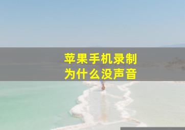 苹果手机录制为什么没声音