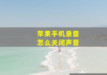 苹果手机录音怎么关闭声音