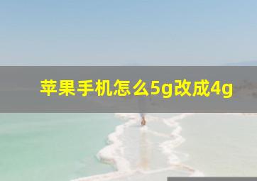 苹果手机怎么5g改成4g