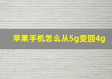 苹果手机怎么从5g变回4g