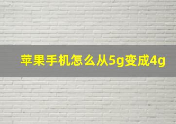 苹果手机怎么从5g变成4g