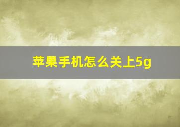 苹果手机怎么关上5g