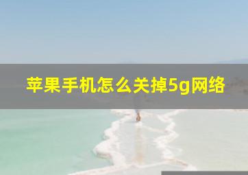 苹果手机怎么关掉5g网络