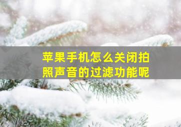 苹果手机怎么关闭拍照声音的过滤功能呢