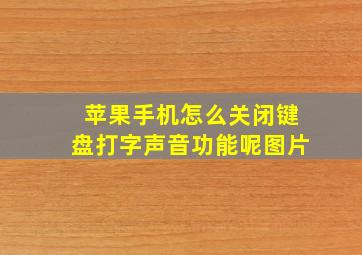 苹果手机怎么关闭键盘打字声音功能呢图片