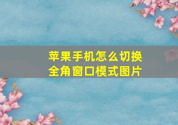 苹果手机怎么切换全角窗口模式图片