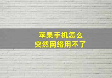 苹果手机怎么突然网络用不了