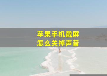 苹果手机截屏怎么关掉声音