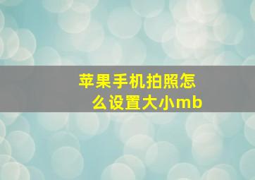 苹果手机拍照怎么设置大小mb