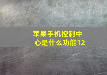 苹果手机控制中心是什么功能12