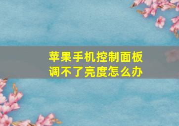 苹果手机控制面板调不了亮度怎么办