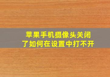 苹果手机摄像头关闭了如何在设置中打不开