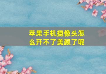 苹果手机摄像头怎么开不了美颜了呢