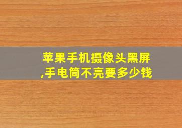 苹果手机摄像头黑屏,手电筒不亮要多少钱