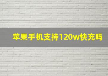 苹果手机支持120w快充吗