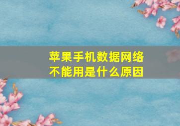 苹果手机数据网络不能用是什么原因