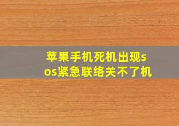 苹果手机死机出现sos紧急联络关不了机