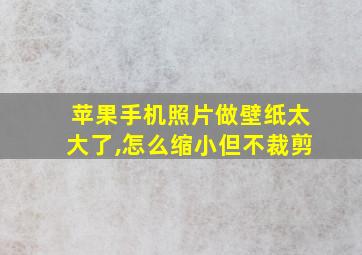 苹果手机照片做壁纸太大了,怎么缩小但不裁剪