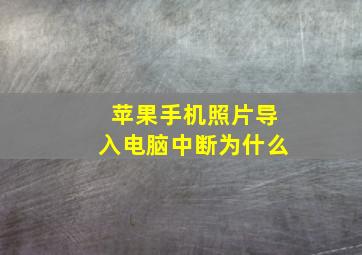 苹果手机照片导入电脑中断为什么