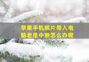 苹果手机照片导入电脑老是中断怎么办呢