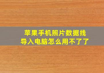 苹果手机照片数据线导入电脑怎么用不了了