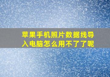 苹果手机照片数据线导入电脑怎么用不了了呢