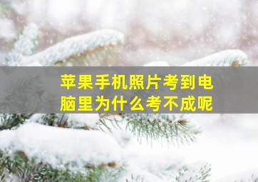 苹果手机照片考到电脑里为什么考不成呢