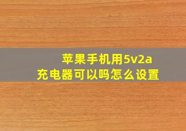 苹果手机用5v2a充电器可以吗怎么设置