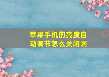 苹果手机的亮度自动调节怎么关闭啊