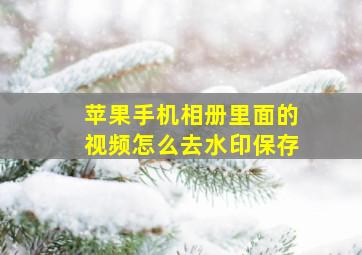 苹果手机相册里面的视频怎么去水印保存