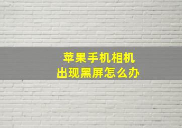 苹果手机相机出现黑屏怎么办