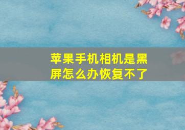 苹果手机相机是黑屏怎么办恢复不了